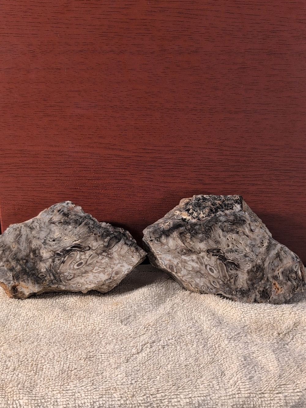 Chert #1